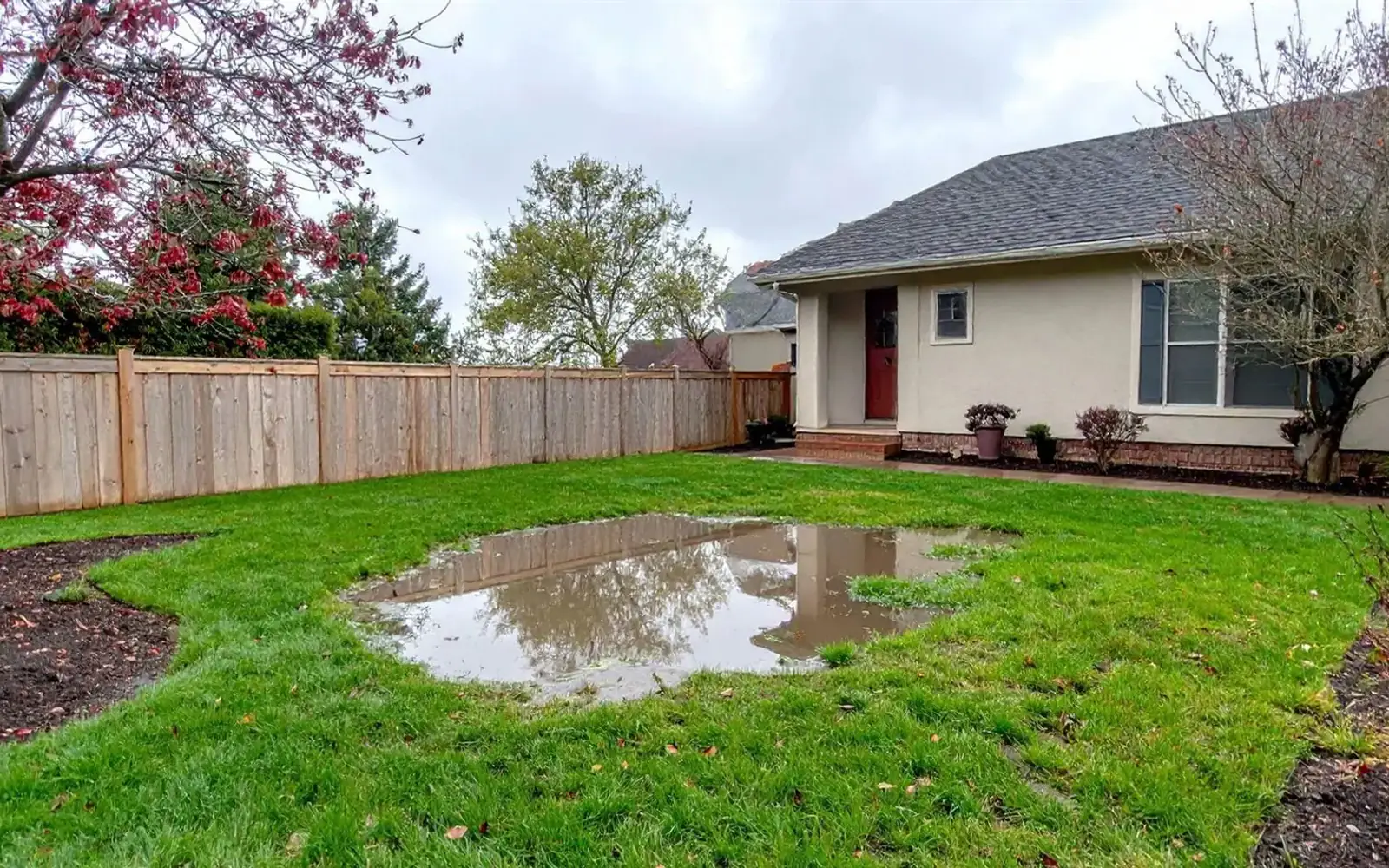Rainwater standing across a residential lawn after a storm