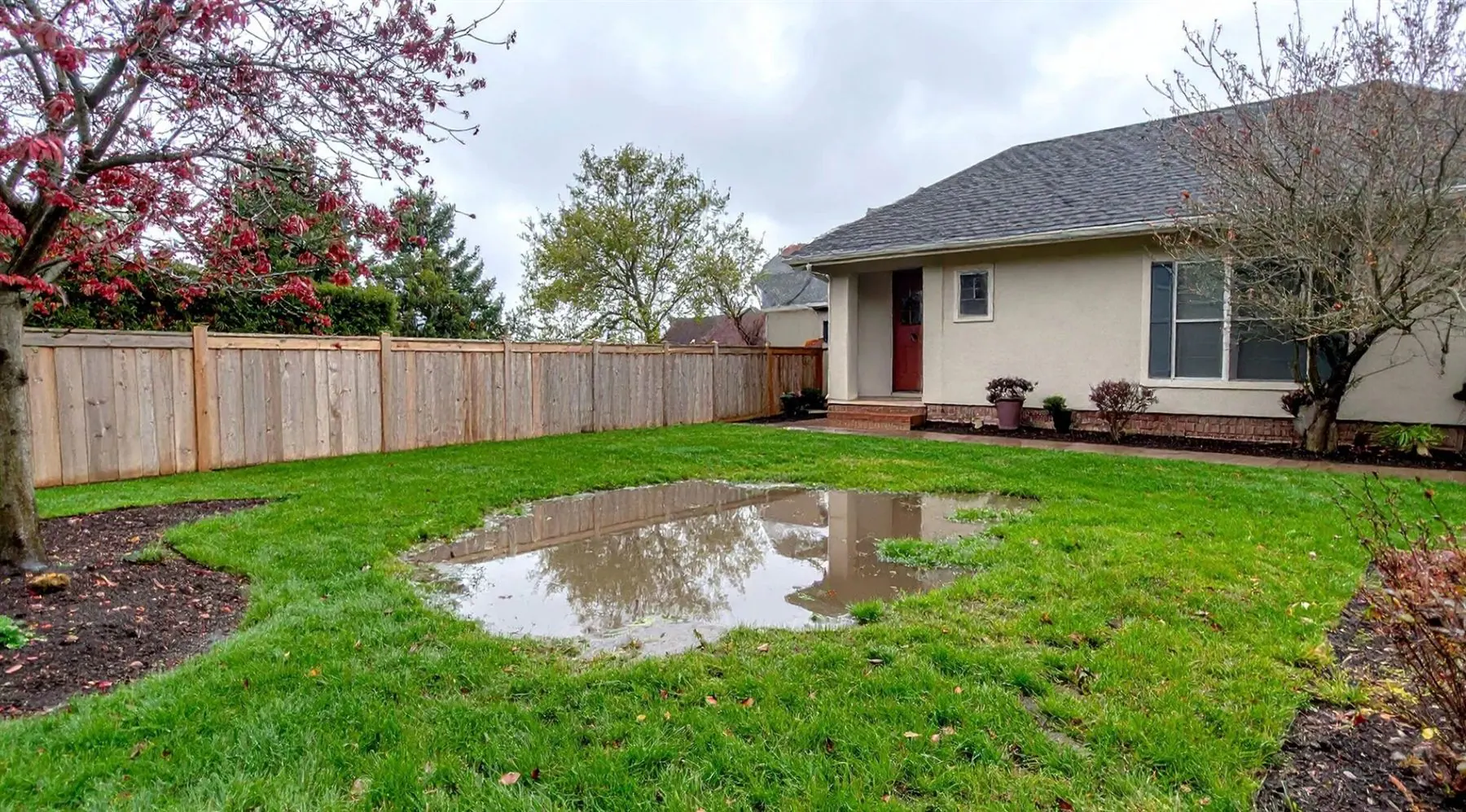 Rainwater standing across a residential lawn after a storm