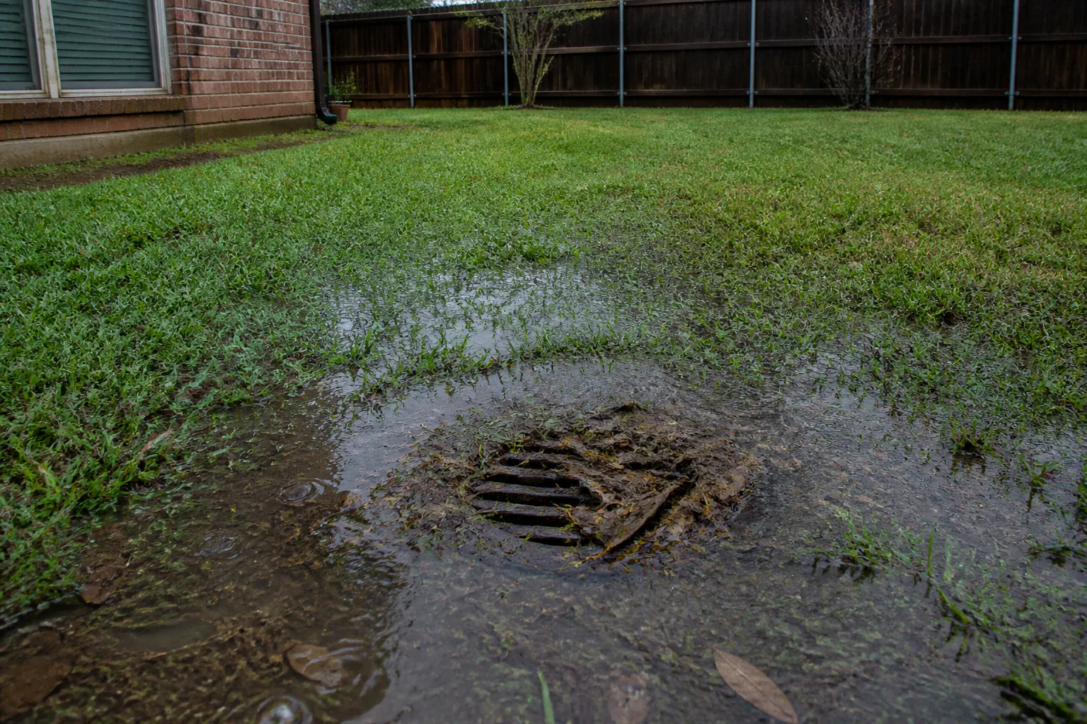 A yard drain grate clogged with wet leaves, grass and silt while water backs up across the lawn