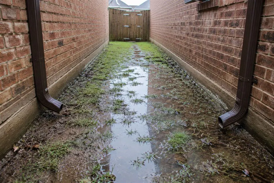 Water pooled in a narrow side yard between two homes