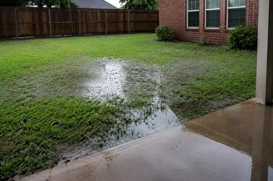 Standing water covering low grass in a residential yard