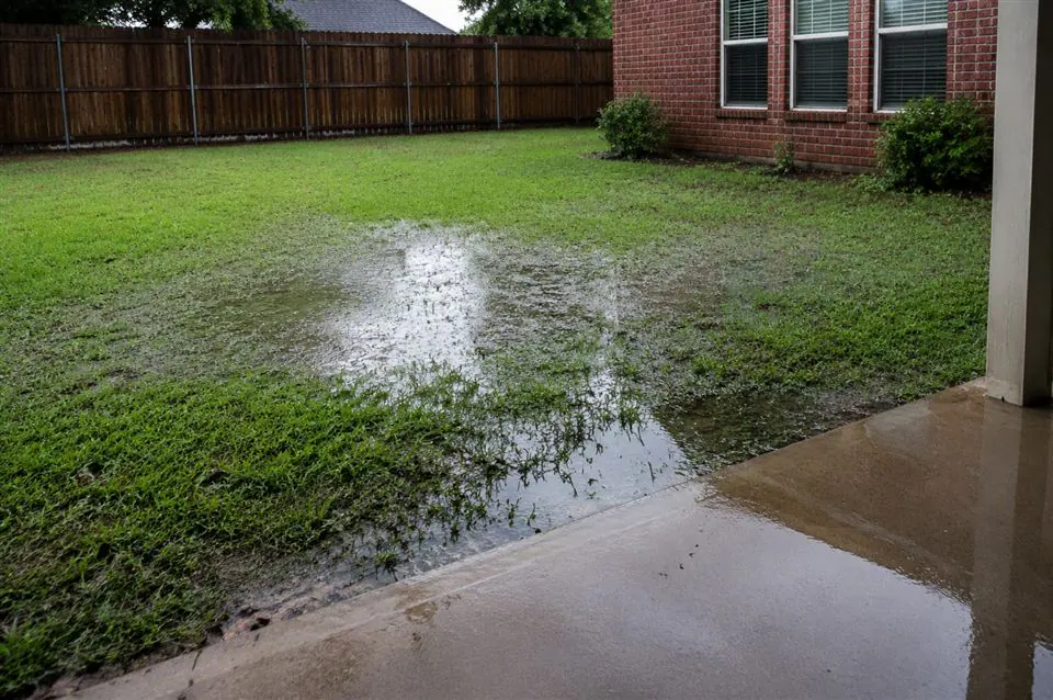 Standing water covering low grass in a residential yard