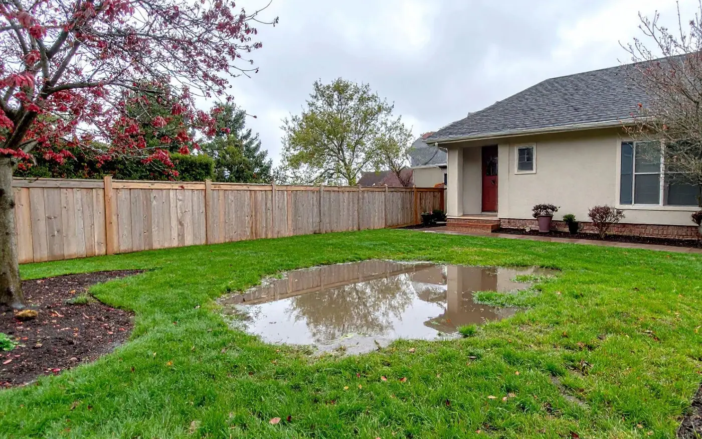 A residential lawn broadly flooded after heavy rain